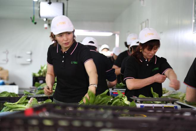上海中腾食品：食材配送4大流程守护餐桌上的安全与新鲜(图1)