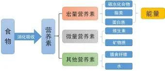 九游体育：健身别再瞎吃了知道这12点就能自制最佳的健身餐增肌减脂都能用！！(图9)