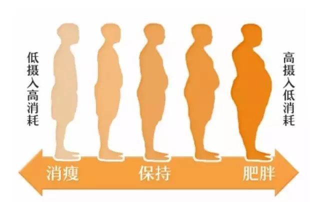 9份一吃就饱的减脂餐！ 健身餐(图2)