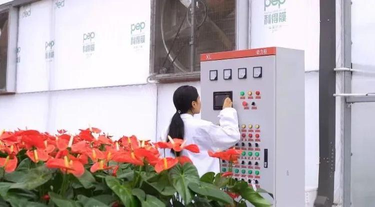 四大主导产业 走活商河高质量发展新棋局_今日头条_大众网(图4)