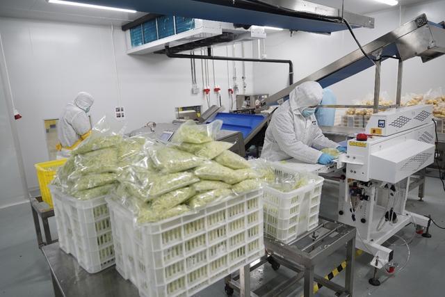 九游官网入口：海归学霸卖爆沙拉轻食借力拼多多“千亿扶持”打造带动就业新样本(图6)