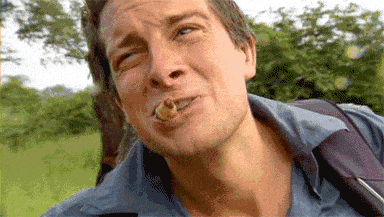 当健身党开始吃虫子我们是不是该重新定义“增肌餐”？(图5)