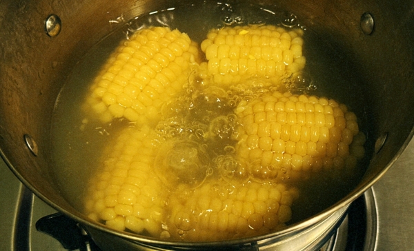 九游体育：玉米被点名！医生直言：玉米冷藏后吃抗性淀粉增多控糖护肠胃(图3)