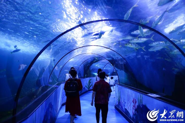跟随赛事打开旅途山海烟台等你来！(图5)