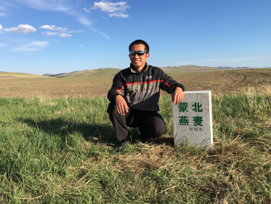 李刚岭耗时7年的生命在无人边境缔造出世界的高端蒙北燕麦(图4)