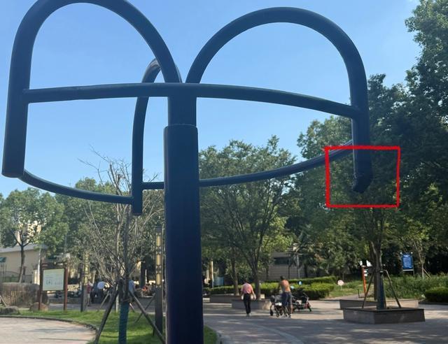 九游app：健身步道长满草器材损坏修得慢？上海部分便民健身设施常态化养护缺失(图4)