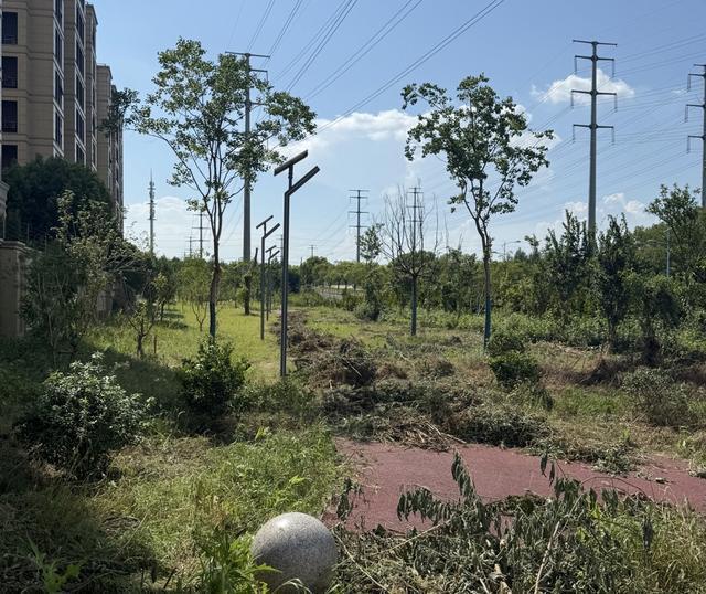 九游app：健身步道长满草器材损坏修得慢？上海部分便民健身设施常态化养护缺失(图5)