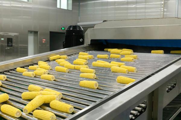 九游体育：连续两年销量领先十月稻田新玉米上市IP跨界爽翻了(图4)