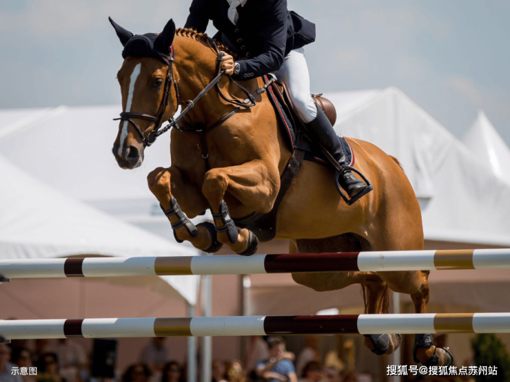 泰禾海上院子-售楼处首页泰禾海上院子-售楼处电话-开盘时间-房价-户型-楼盘详情-周边环境-户型-价格-地址-楼盘详情电话-交房时间(图26)