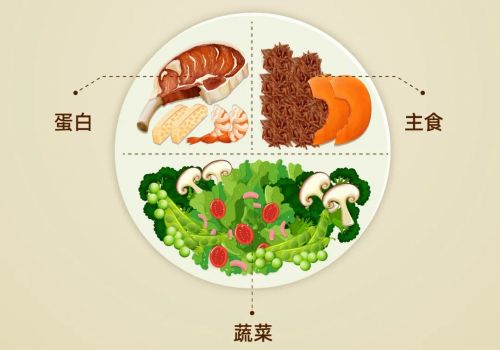 长轻首次公开饮食模式让营养食疗惠及每一个家庭(图3)