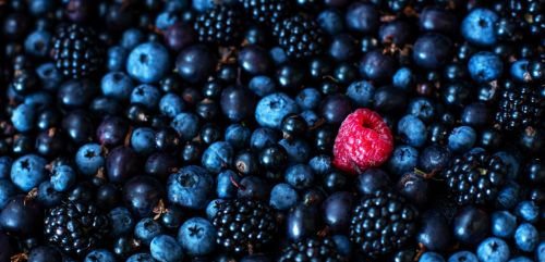 长轻首次公开饮食模式让营养食疗惠及每一个家庭(图6)