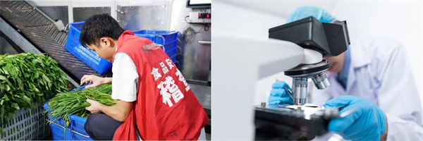 九游官网入口：校园配餐进入“国标”时代欢筷营养配餐全力守护学生健康(图3)