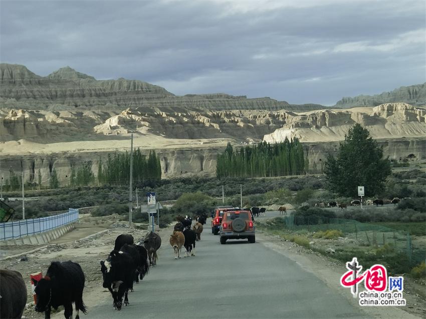 高舜礼：蹚出一条高原特色的旅游之路(组图)(图4)