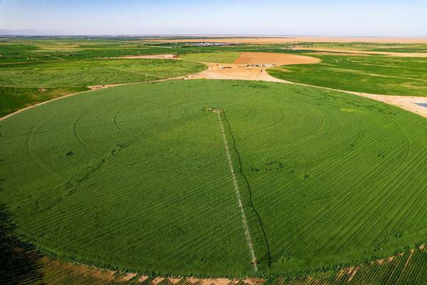 蒙牛上榜《财富》2025最受赞赏中国公司 创新引领行业可持续发展(图3)