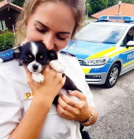 你是性感模特吗?抱歉我是警察!(图12)