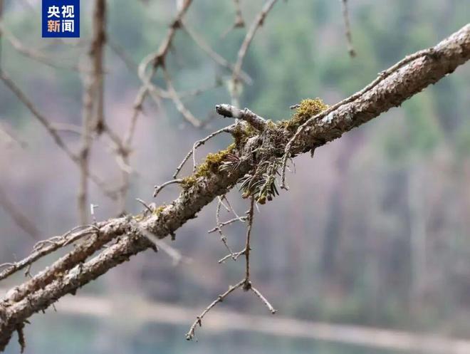 新闻早餐来了！【2025年10月18日】(图1)