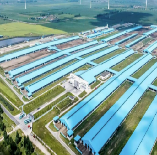 九游体育：世界保健日落地：简爱酸奶以多场景产品矩阵 诠释纯净营养新路径(图2)