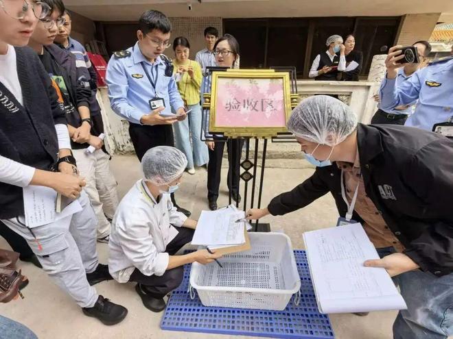 周末加班加点完成首批食材配送任务！顺德市监部门驻点保障十五运会食品安全(图2)