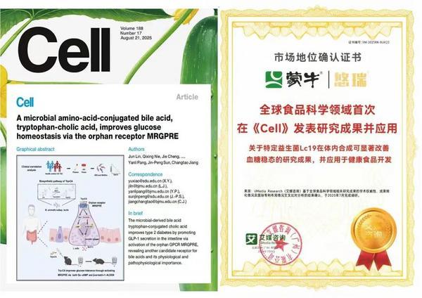 创新引领 开放共享——“全勤生”蒙牛再赴进博之约以创新引擎助力全球乳业跨越升级(图6)