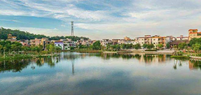 九游app：跟着赛事游荷塘！用“运动视角”解锁水乡的另一面(图1)