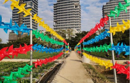 九游app：跟着赛事游荷塘！用“运动视角”解锁水乡的另一面(图11)