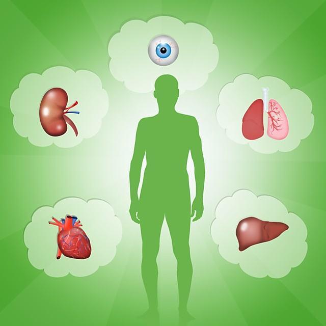 太极拳有哪些健康益处？中老年人传统运动解析！(图5)