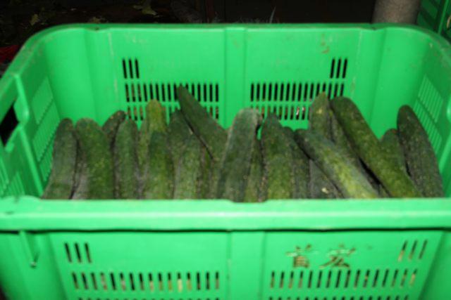 单位蔬菜配送如何选？2025年9月这份指南帮你避坑(图2)