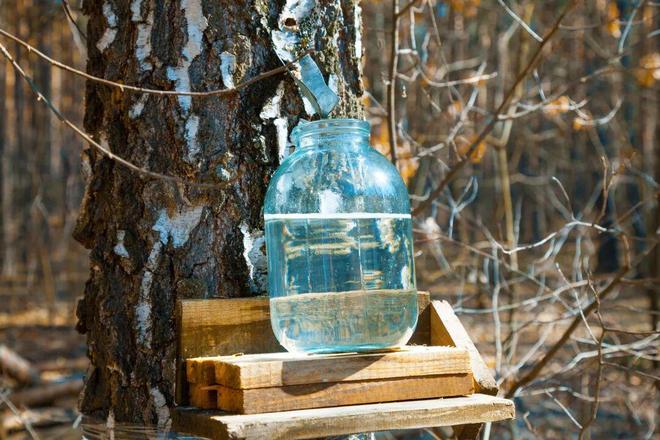 一种全网都在捧的养生饮品以为大补小心实则是糖水(图3)