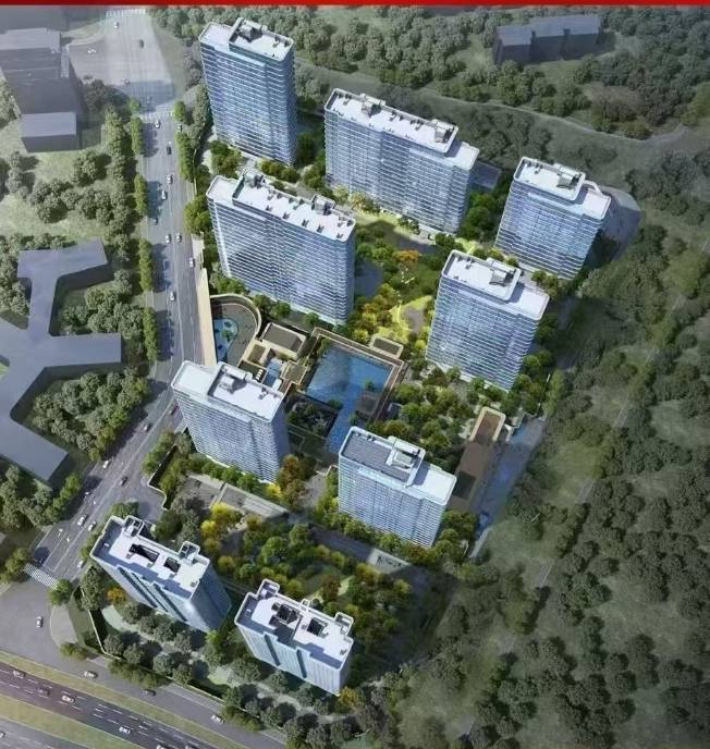 合肥伟星T10楼盘怎么样-学区(图5)