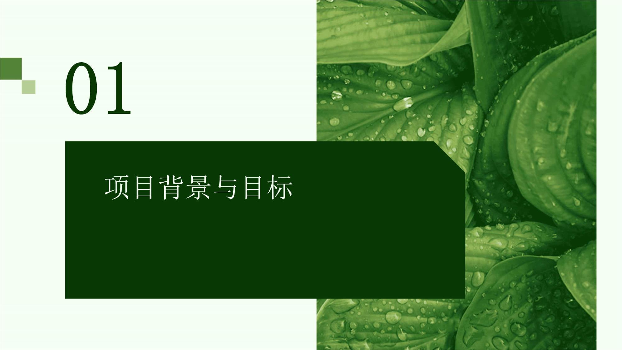 轻食店创业项目计划书范文(图1)