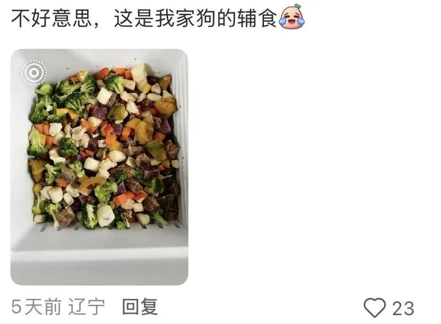 吃“人饲料”的打工人越来越多了(图5)