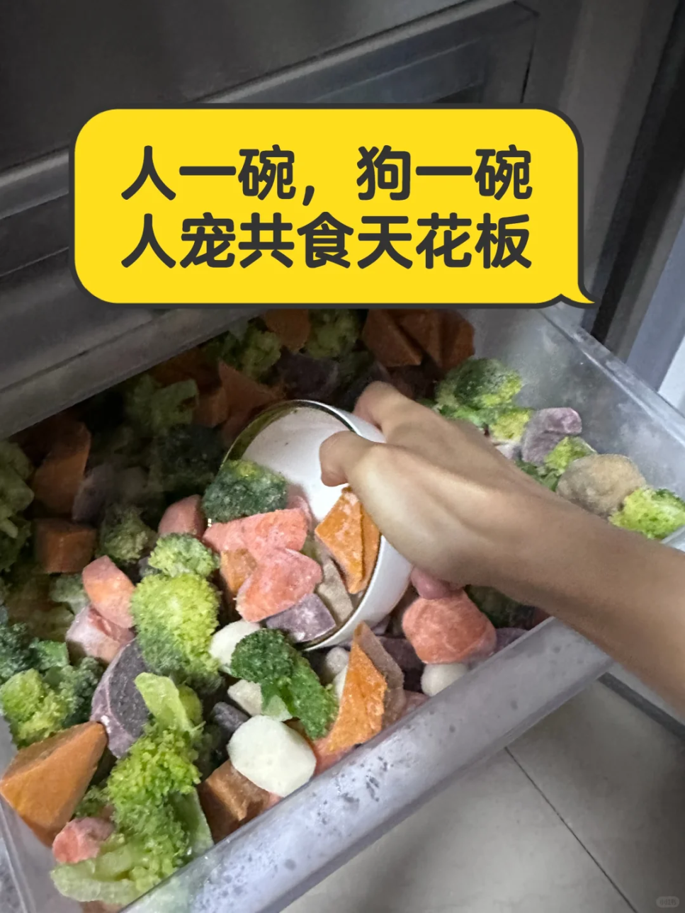 吃“人饲料”的打工人越来越多了(图6)